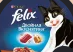 feniks